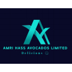 Hass Avocados on 18 Acres