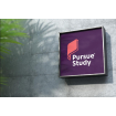 PURSUE STUDY