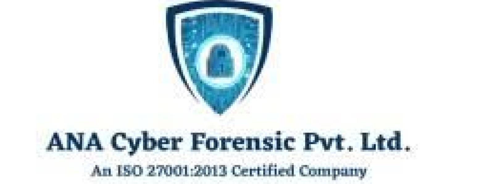 Cybersecurity audit