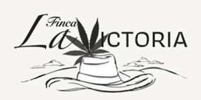 Puerto Rico Cannabis Farm